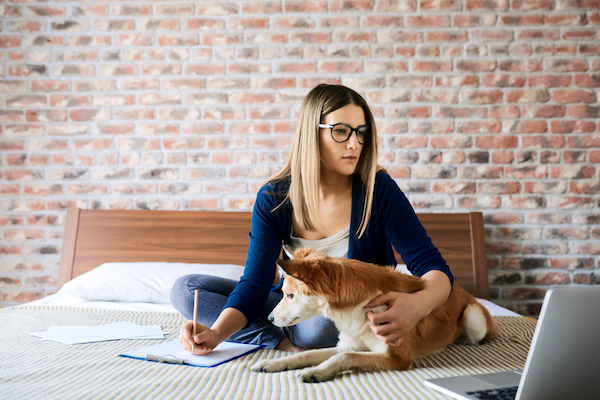young woman with dog working from home