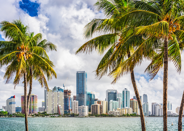 miami skyline for local business resources